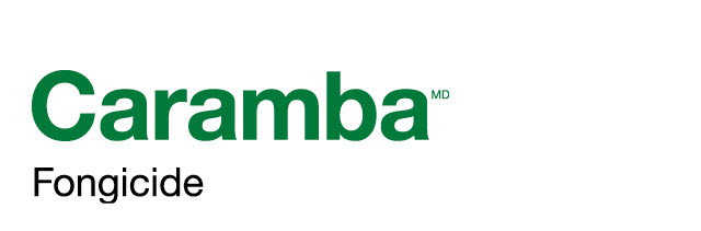 Caramba logo